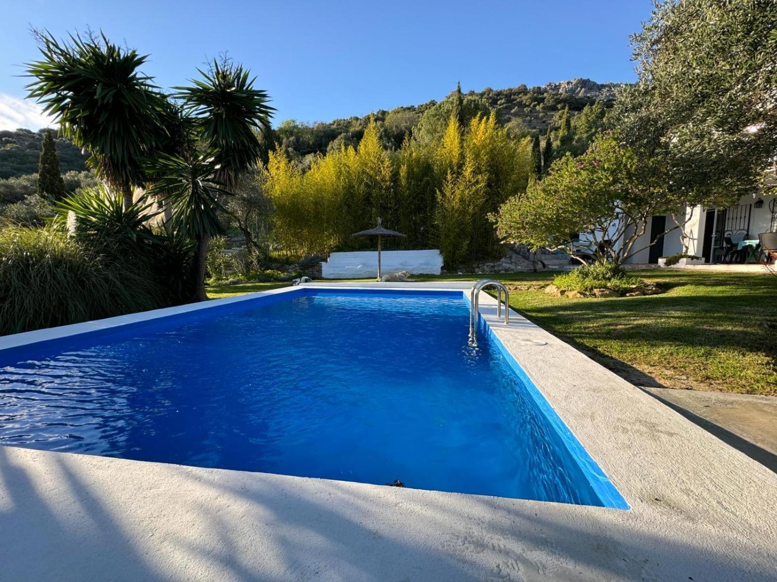 La Fontana Villa Cortes de la Frontera Exterior photo
