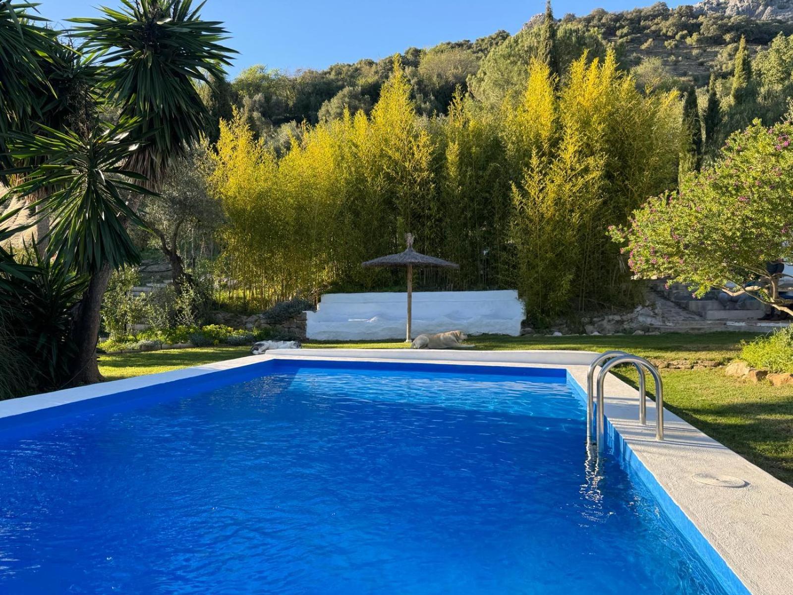 La Fontana Villa Cortes de la Frontera Exterior photo